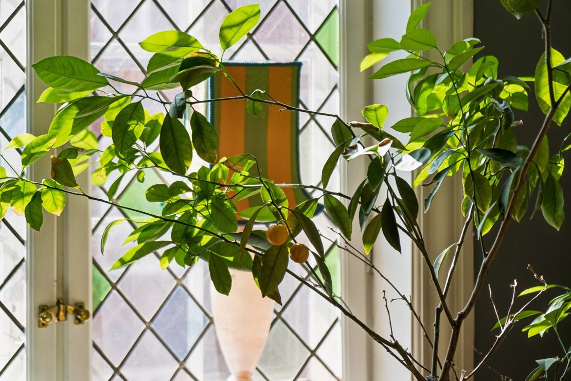 Trondhjemsgade 3, 3. tv., 2100 København Ø - Billed