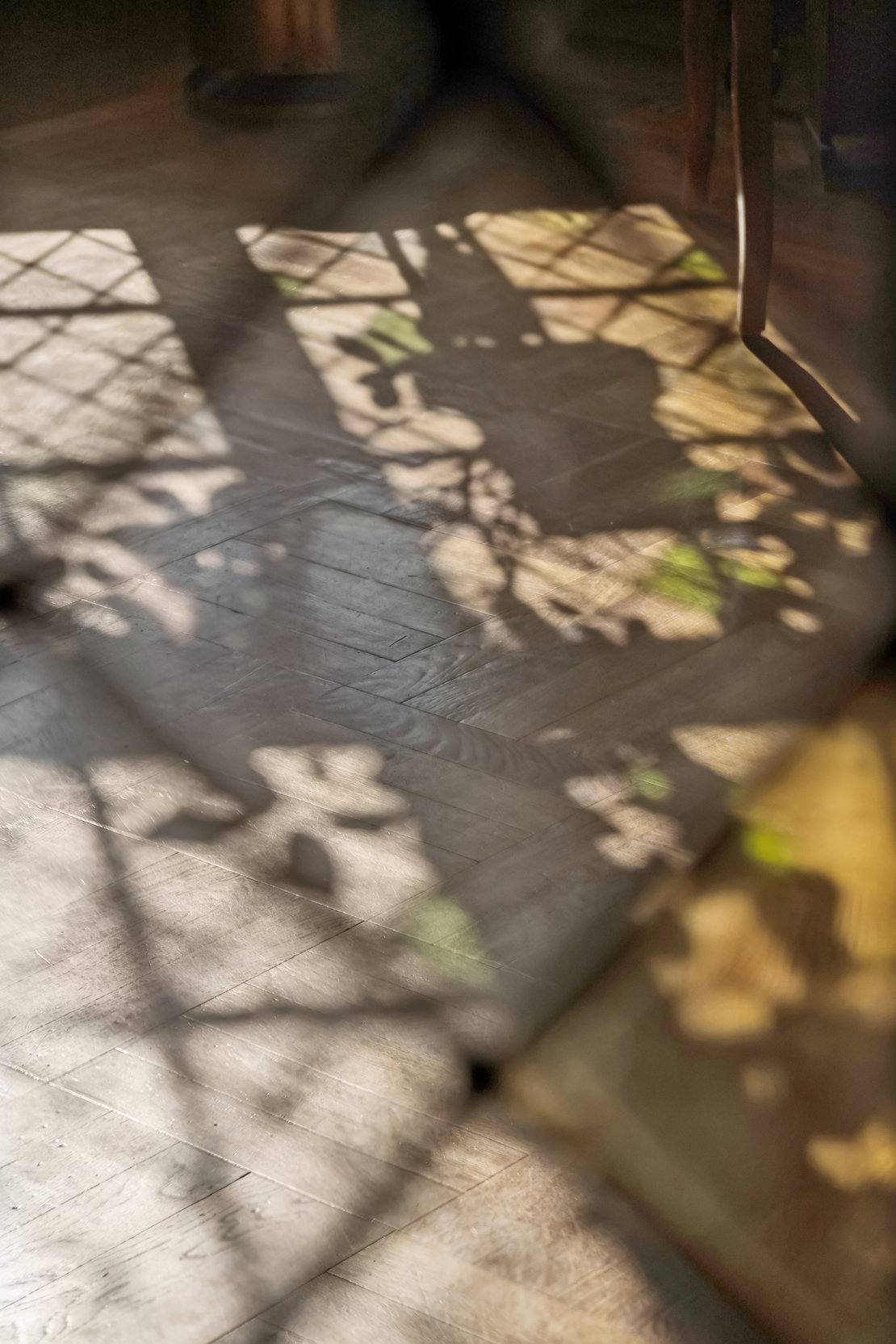 Trondhjemsgade 3, 3. tv., 2100 København Ø - Billed