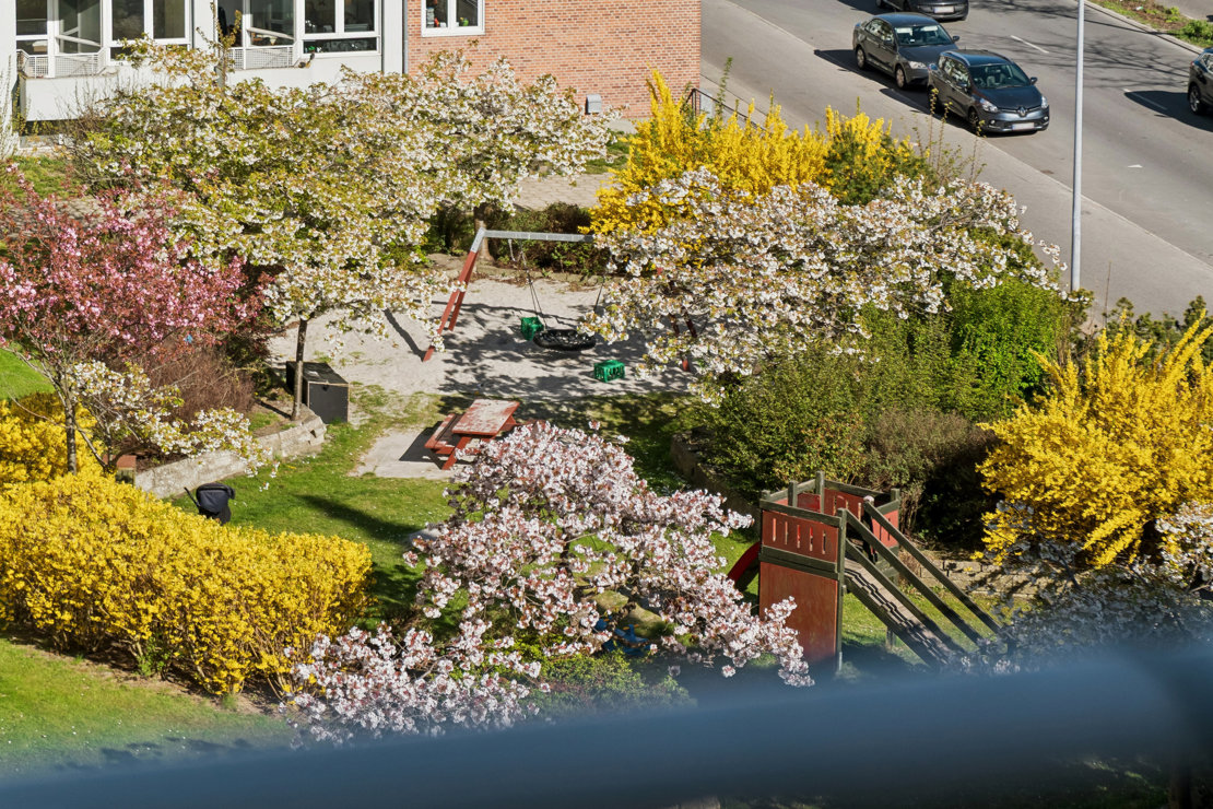 Rådmand Steins Alle 29, 5. th., 2000 Frederiksberg - Billed