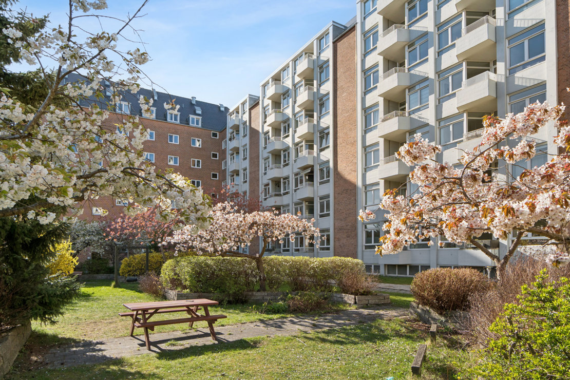 Rådmand Steins Alle 29, 5. th., 2000 Frederiksberg - Billed