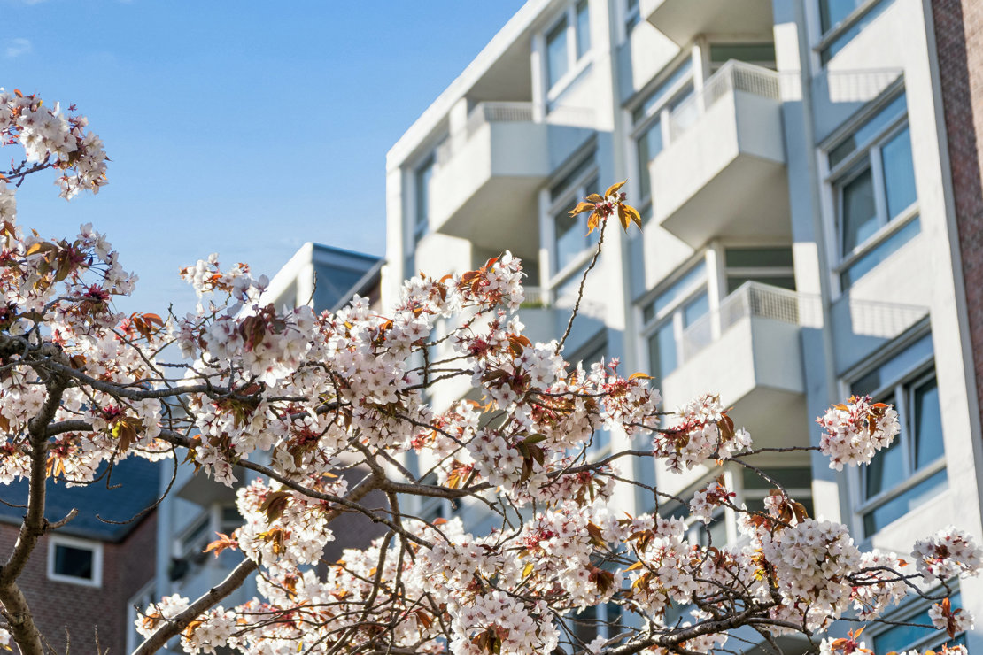 Rådmand Steins Alle 29, 5. th., 2000 Frederiksberg - Billed